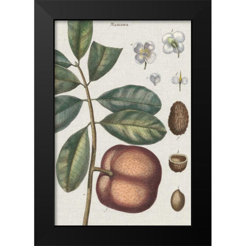 Exotic Botanique IV Black Modern Wood Framed Art Print by Vision Studio