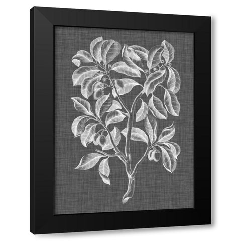Graphic Foliage I Black Modern Wood Framed Art Print by Vision Studio