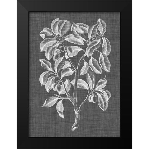 Graphic Foliage I Black Modern Wood Framed Art Print by Vision Studio