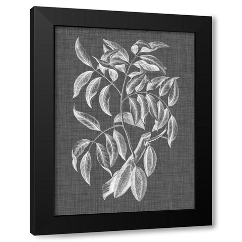 Graphic Foliage III Black Modern Wood Framed Art Print by Vision Studio