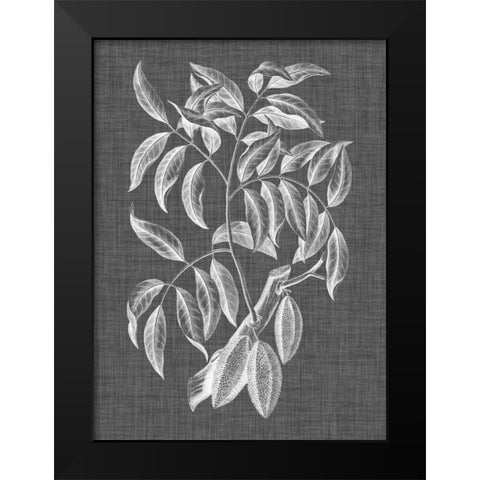 Graphic Foliage III Black Modern Wood Framed Art Print by Vision Studio