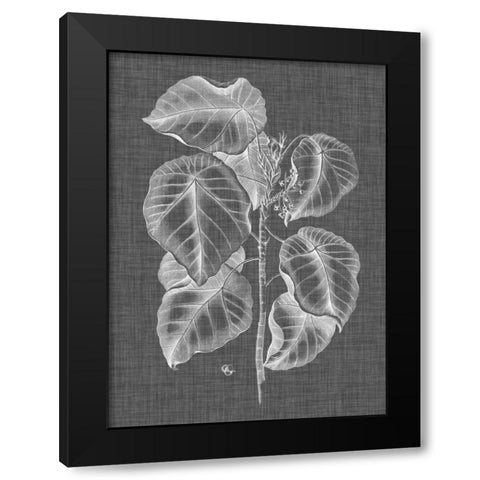 Graphic Foliage IV Black Modern Wood Framed Art Print by Vision Studio