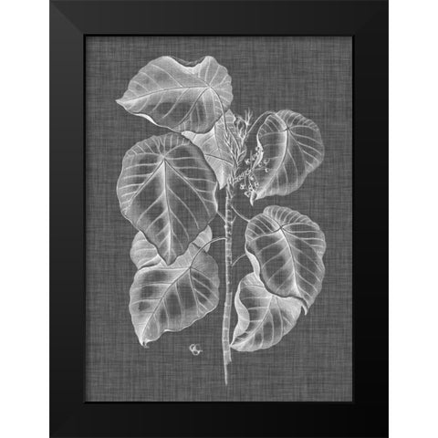 Graphic Foliage IV Black Modern Wood Framed Art Print by Vision Studio