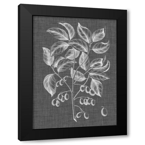 Graphic Foliage V Black Modern Wood Framed Art Print by Vision Studio