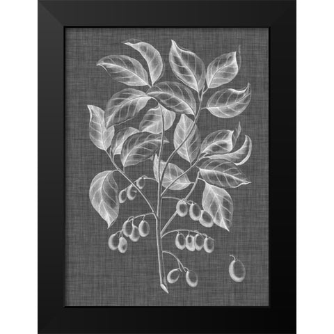 Graphic Foliage V Black Modern Wood Framed Art Print by Vision Studio