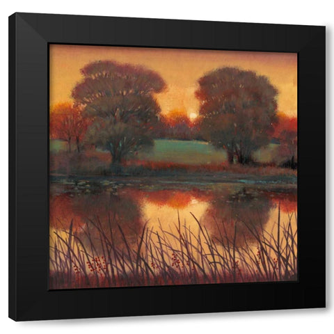 Early Evening II Black Modern Wood Framed Art Print by OToole, Tim