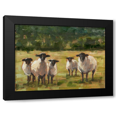 Sheep Family I Black Modern Wood Framed Art Print by Harper, Ethan