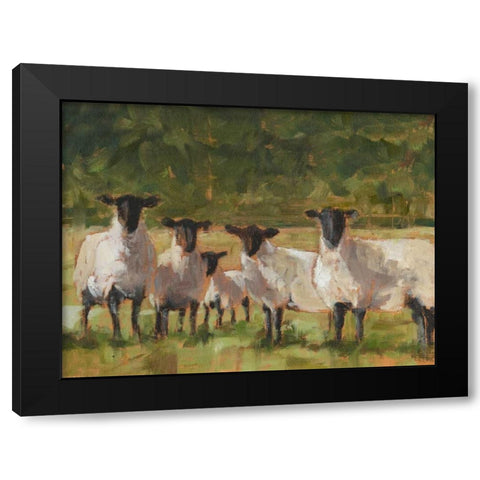 Sheep Family II Black Modern Wood Framed Art Print by Harper, Ethan