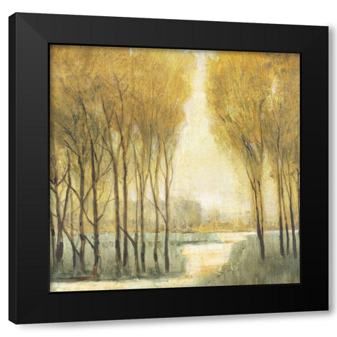 Pathway Sanctuary Black Modern Wood Framed Art Print by OToole, Tim