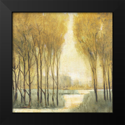 Pathway Sanctuary Black Modern Wood Framed Art Print by OToole, Tim