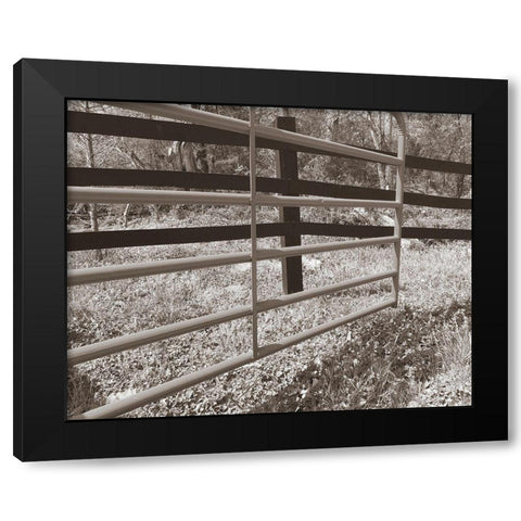 Sepia Farm Study I Black Modern Wood Framed Art Print by Ludwig, Alicia