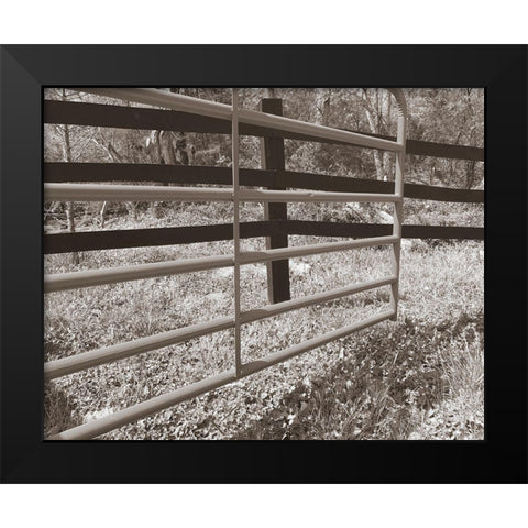 Sepia Farm Study I Black Modern Wood Framed Art Print by Ludwig, Alicia