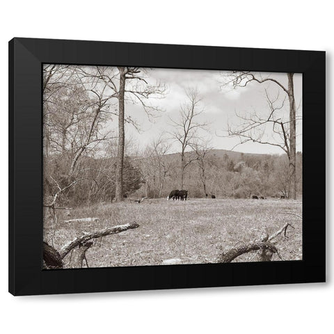 Sepia Farm Study II Black Modern Wood Framed Art Print by Ludwig, Alicia