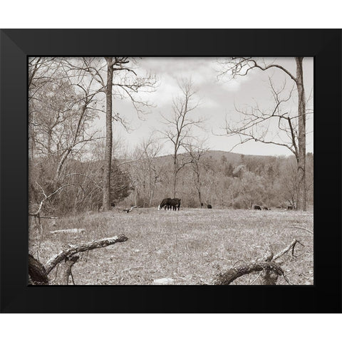 Sepia Farm Study II Black Modern Wood Framed Art Print by Ludwig, Alicia