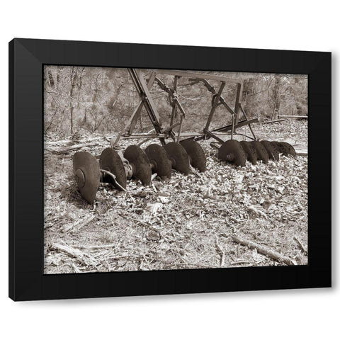 Sepia Farm Study III Black Modern Wood Framed Art Print by Ludwig, Alicia