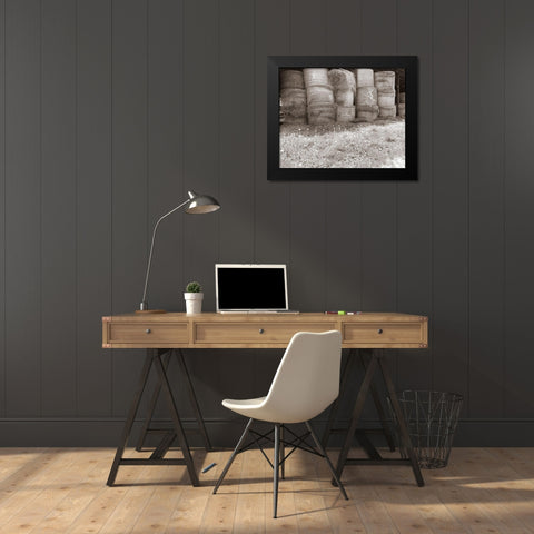 Sepia Farm Study V Black Modern Wood Framed Art Print by Ludwig, Alicia
