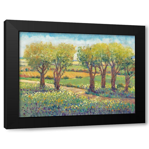 Garden Path I Black Modern Wood Framed Art Print by OToole, Tim
