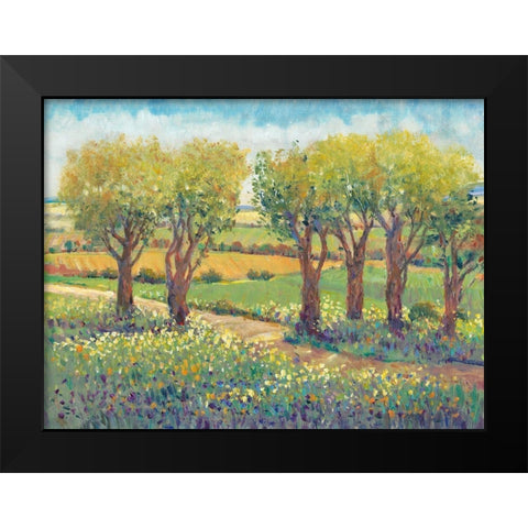 Garden Path I Black Modern Wood Framed Art Print by OToole, Tim