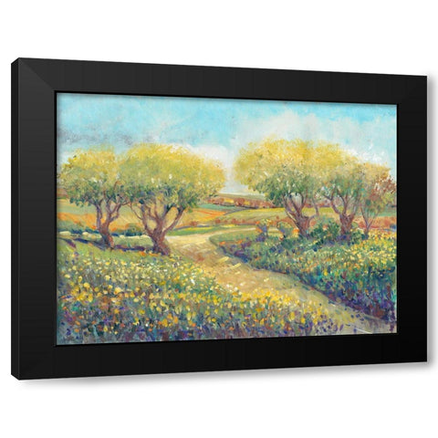Garden Path II Black Modern Wood Framed Art Print by OToole, Tim