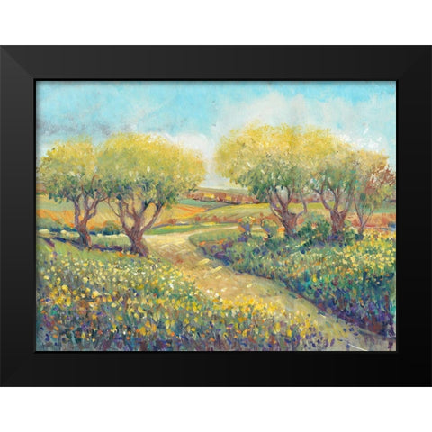 Garden Path II Black Modern Wood Framed Art Print by OToole, Tim