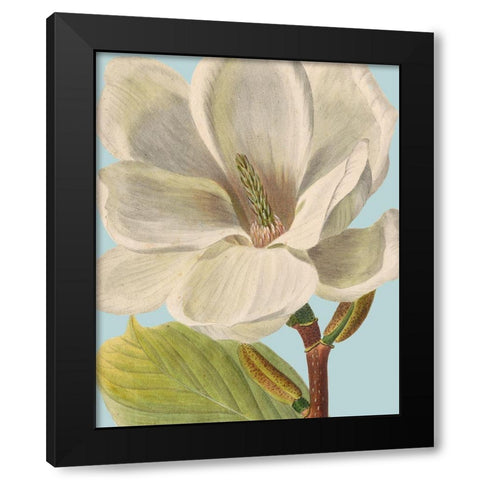 Fresh Florals I Black Modern Wood Framed Art Print with Double Matting by Vision Studio