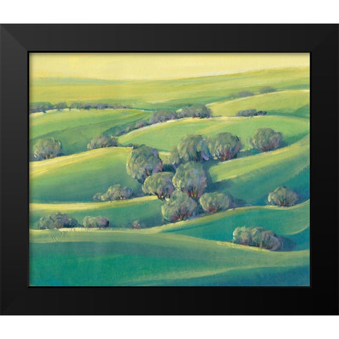 Hillside View II Black Modern Wood Framed Art Print by OToole, Tim