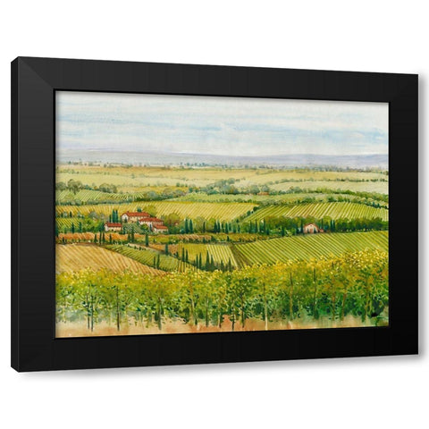 Wine Country View I Black Modern Wood Framed Art Print by OToole, Tim