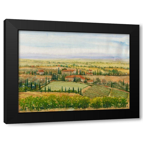 Wine Country View II Black Modern Wood Framed Art Print with Double Matting by OToole, Tim