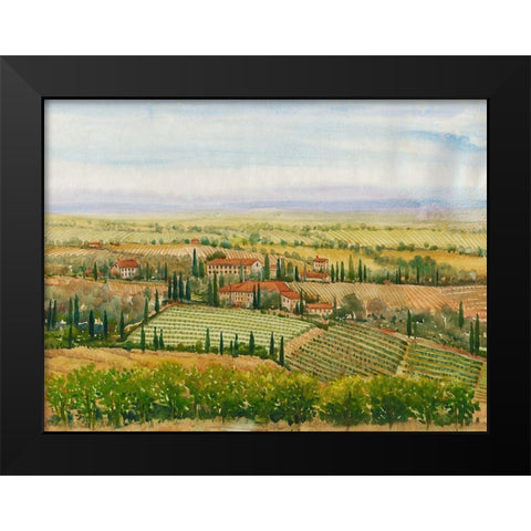 Wine Country View II Black Modern Wood Framed Art Print by OToole, Tim