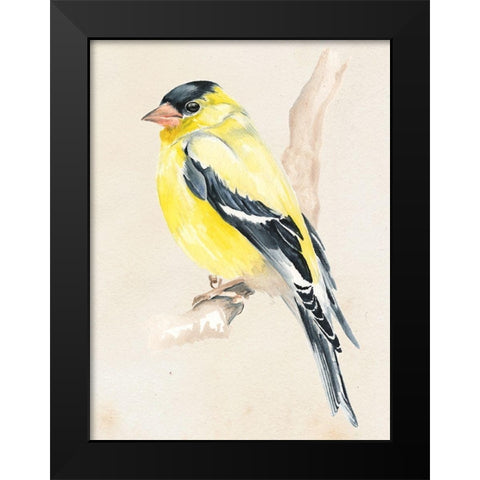 Little Bird on Branch III Black Modern Wood Framed Art Print by Parker, Jennifer Paxton