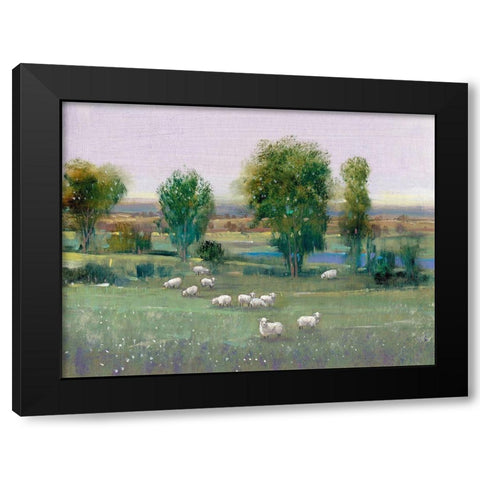 Field of Sheep I Black Modern Wood Framed Art Print by OToole, Tim