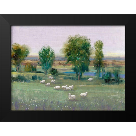 Field of Sheep I Black Modern Wood Framed Art Print by OToole, Tim