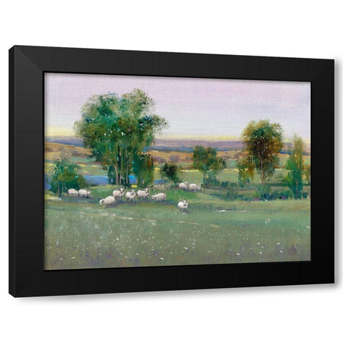 Field of Sheep II Black Modern Wood Framed Art Print by OToole, Tim