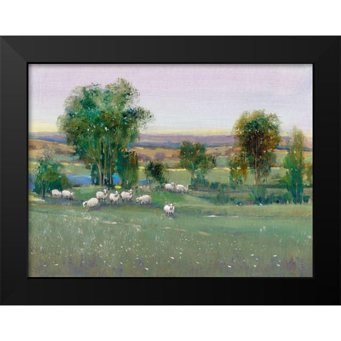 Field of Sheep II Black Modern Wood Framed Art Print by OToole, Tim