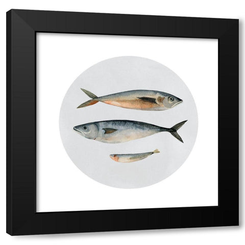 Three Fish I Black Modern Wood Framed Art Print with Double Matting by Scarvey, Emma