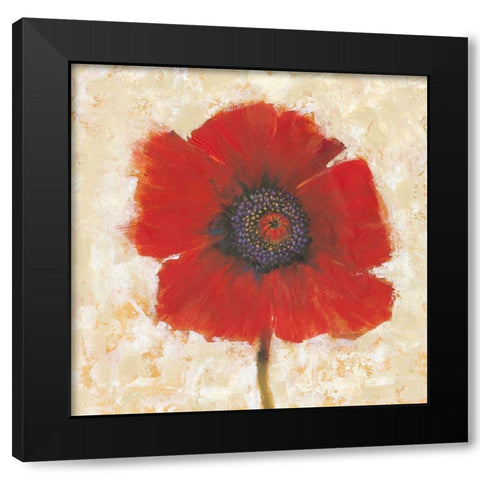 Red Poppy Portrait II Black Modern Wood Framed Art Print by OToole, Tim