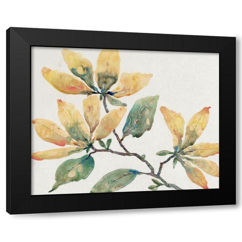Flowering Branch II Black Modern Wood Framed Art Print by OToole, Tim