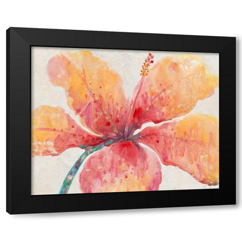 Blooming Hibiscus Black Modern Wood Framed Art Print by OToole, Tim