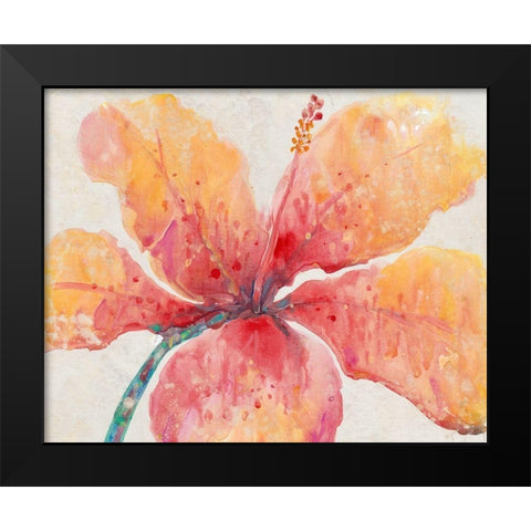 Blooming Hibiscus Black Modern Wood Framed Art Print by OToole, Tim