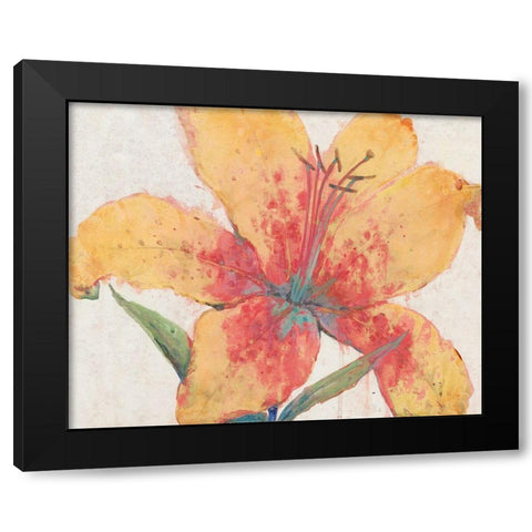 Blooming Lily Black Modern Wood Framed Art Print by OToole, Tim