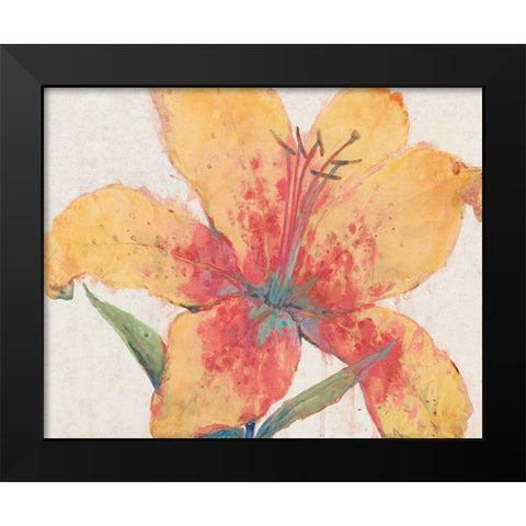 Blooming Lily Black Modern Wood Framed Art Print by OToole, Tim