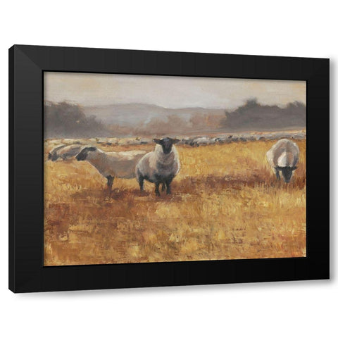 Grazing at Sunset I Black Modern Wood Framed Art Print by Harper, Ethan