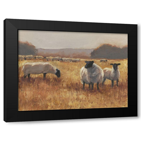 Grazing at Sunset II Black Modern Wood Framed Art Print by Harper, Ethan