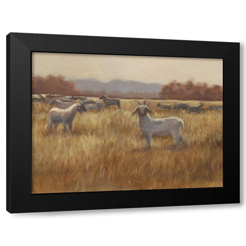 Grazing Goats I Black Modern Wood Framed Art Print by Harper, Ethan