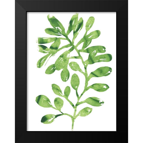 Emerald Tropics II Black Modern Wood Framed Art Print by Vess, June Erica