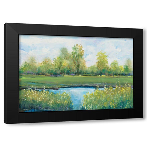 Tranquil Park II Black Modern Wood Framed Art Print by OToole, Tim