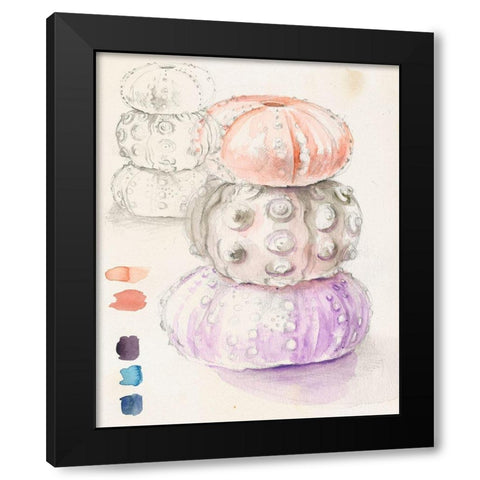 Sea Urchin Sketches I Black Modern Wood Framed Art Print by Parker, Jennifer Paxton