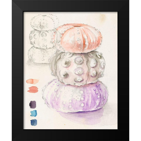 Sea Urchin Sketches I Black Modern Wood Framed Art Print by Parker, Jennifer Paxton