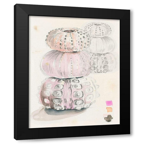 Sea Urchin Sketches II Black Modern Wood Framed Art Print by Parker, Jennifer Paxton