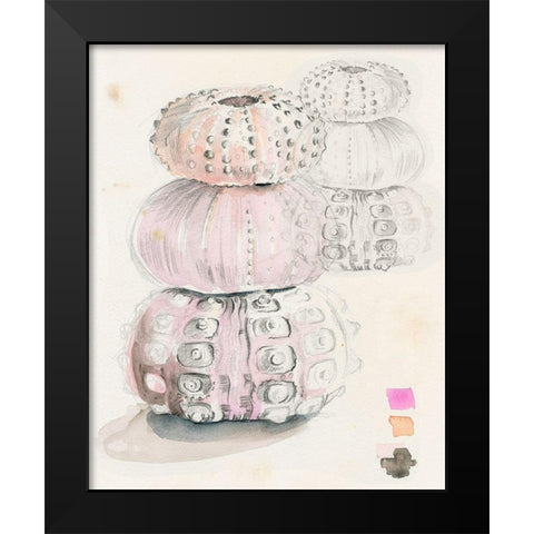 Sea Urchin Sketches II Black Modern Wood Framed Art Print by Parker, Jennifer Paxton